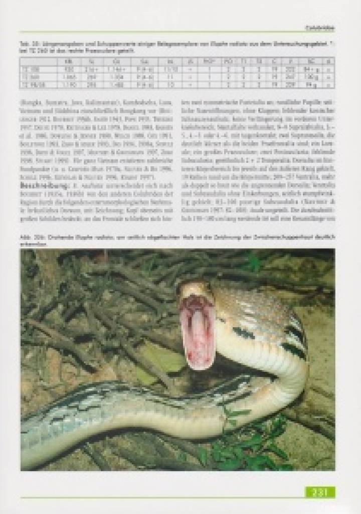 Die Amphibien und Reptilien eines Tieflandfeuchtwald-Schutzgebietes in Vietnam
